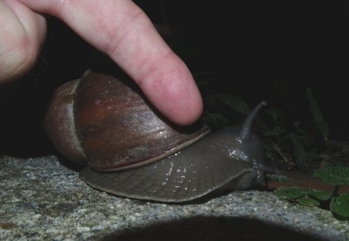 VZ3911 151120 Casa Maria_tn.jpg