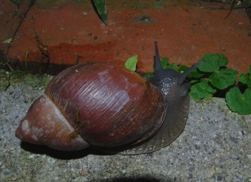 VZ3912 151120 Casa Maria_tn.jpg