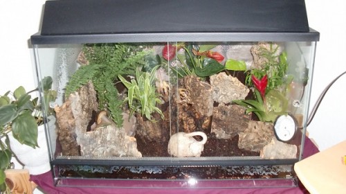 Tierbilder Dezember+Januar 012.JPG