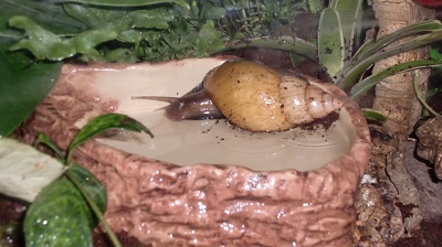 Tierbilder Dezember+Januar 038.JPG