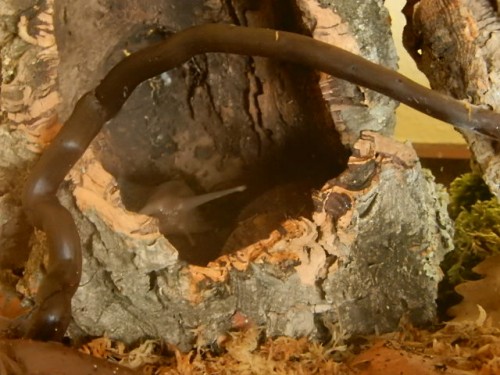 DSCN2886.JPG