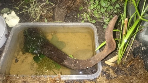 Wasser 1.jpg