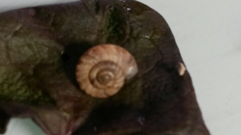 2016-02-24 16.30.39.jpg