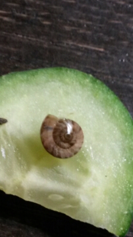 2016-02-24 17.38.02.jpg