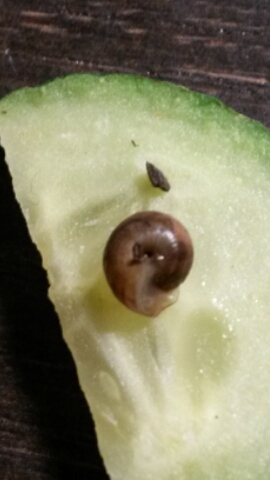 2016-02-24 17.38.48.jpg