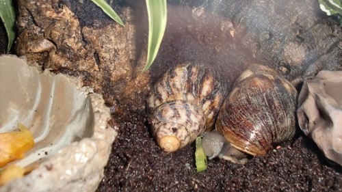 Tierbilder Februar 2016 051.JPG