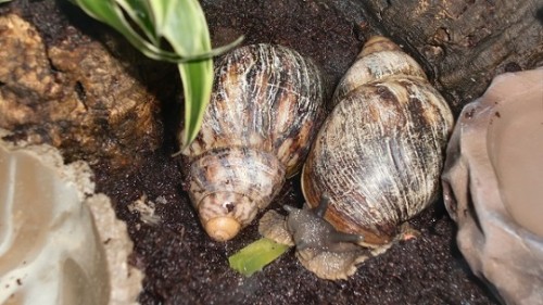 Tierbilder Februar 2016 053.JPG