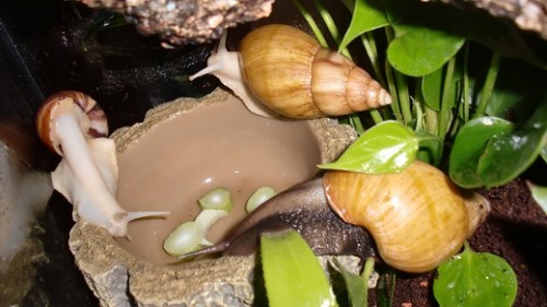 Tierbilder Februar 2016 058.JPG
