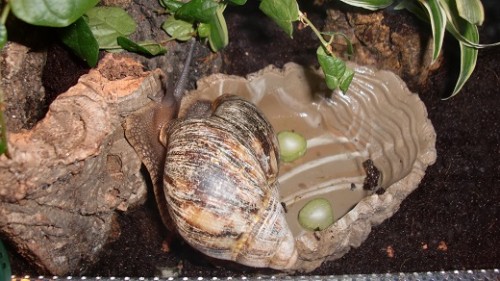 Tierbilder Februar 2016 061.JPG