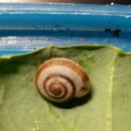 2016-03-04 17.43.27.jpg