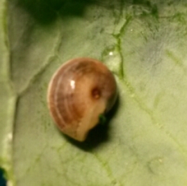 2016-03-04 17.43.55.jpg