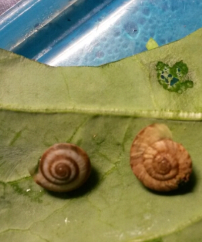 2016-03-04 17.44.44.jpg