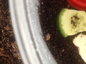 IMG_2269 - Kopie.JPG