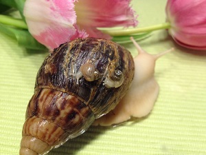 IMG_2291 - Kopie.JPG