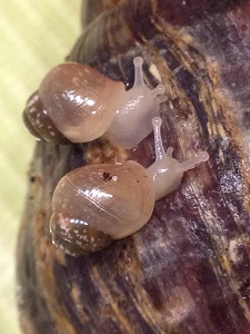 IMG_2296 - Kopie.JPG