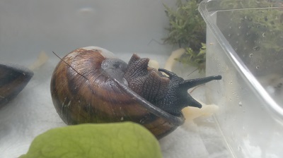 Tierbilder März 2016 016.JPG