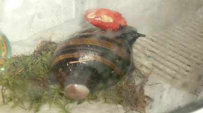 Tierbilder März 2016 039.JPG