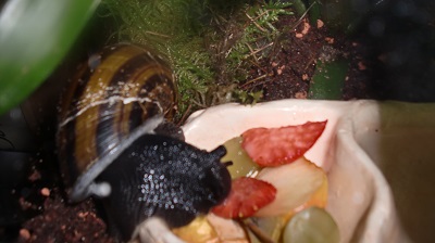 Tierbilder März 2016 048.JPG