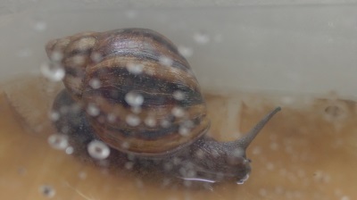 Tierbilder März 2016 053.JPG