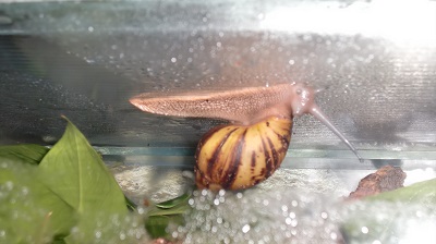 Tierbilder März 2016 106.JPG