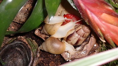 Tierbilder März 2016 112.JPG