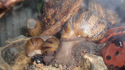 Tierbilder März 2016 083.JPG