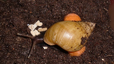 Tierbilder März 2016 002.JPG