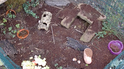 Tierbilder März 2016 121.JPG