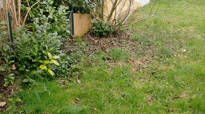 Tierbilder März 2016 124.JPG