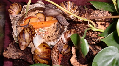 Tierbilder März 2016 116.JPG