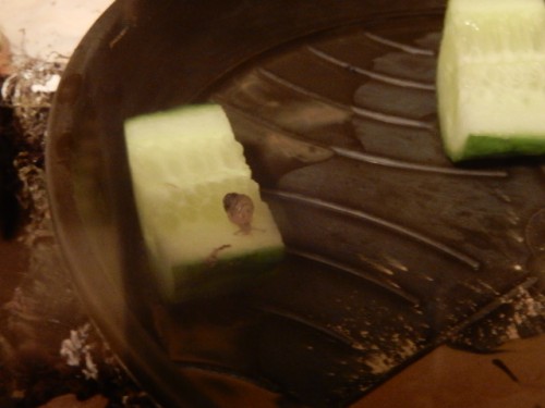 DSCN3306-3307-erste Sichtung-ca 3mm Häuschen und grauen Fuss.JPG