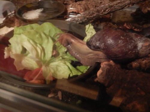 DSCN3527.JPG