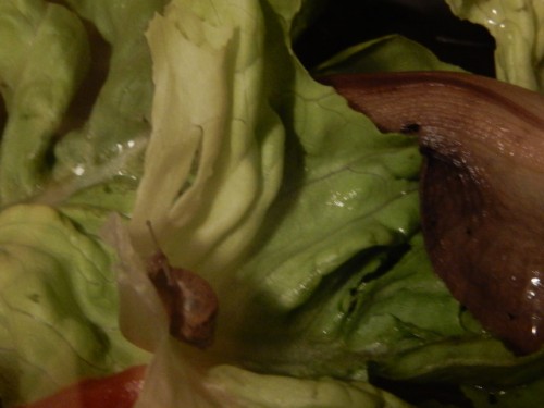 DSCN3550.JPG