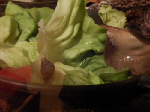 DSCN3557.JPG