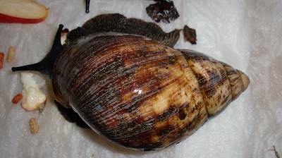 Tierbilder Mai 045.JPG