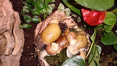 Tierbilder Mai 068.JPG