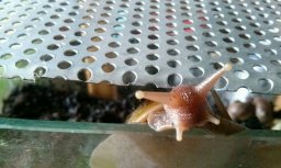 IMG_1462826370317_19015 (1).jpg