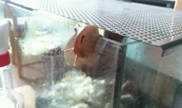 IMG_1462826370351_17282 (1).jpg