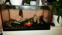 IMG_1462909679434_68522 (1).jpg