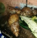 IMG_1462911128776_24461 (1).jpg