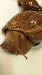 IMG_1462997373649_63880 (1).jpg