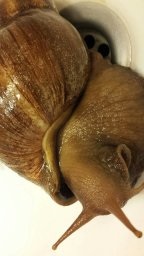 IMG_1462997373668_67884 (1).jpg