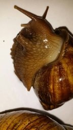 IMG_1462997373670_78323 (1).jpg