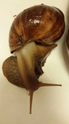 IMG_1462997415974_77893 (1).jpg