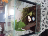 2016-05-16-18-55-16--1364114684.png