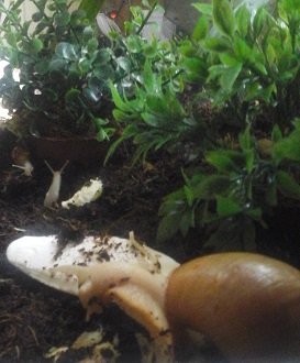 20160516_170433.jpg