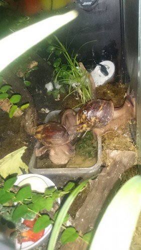 Badetag bei Ovums.jpg