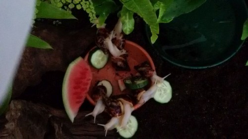 20160627_121703.jpg