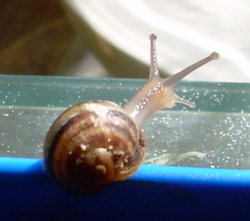 DSCN8510.JPG