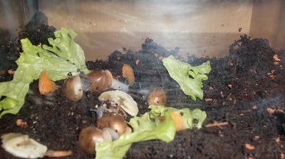 Tierbilder Juli 020.JPG